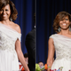 Illustration for article titled Pretty Hair, Weird Necklines at the White House Correspondents Dinner